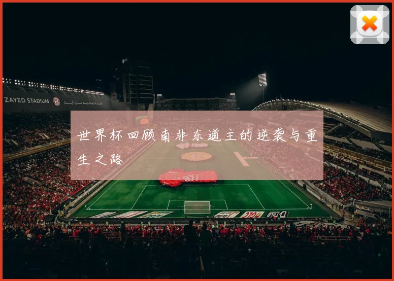 世界杯回顾南非东道主的逆袭与重生之路