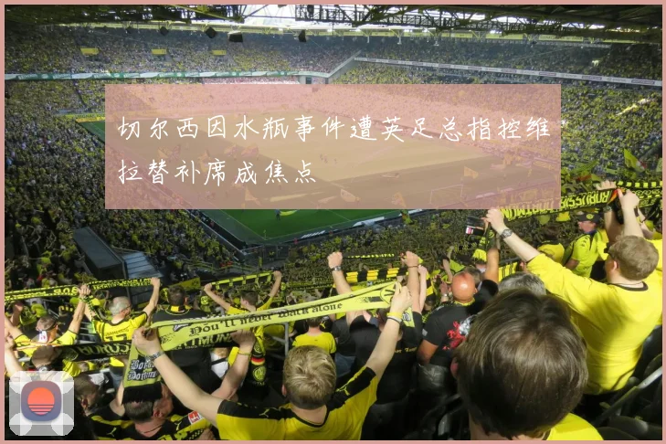 切尔西因水瓶事件遭英足总指控维拉替补席成焦点
