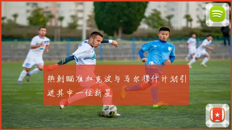 热刺瞄准加克波与马尔穆什计划引进其中一位新星