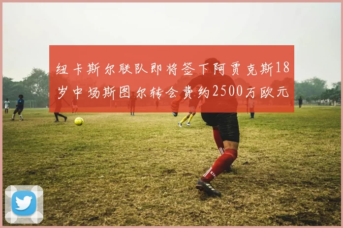 纽卡斯尔联队即将签下阿贾克斯18岁中场斯图尔转会费约2500万欧元